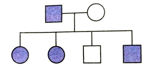 Study the given pedigree chart of a certain family and select the ...
