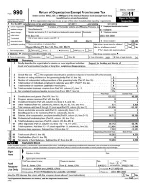 Form 990 Tax Exempt Organization Return - Blank Fillable Template ...