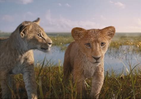 Mufasa-The Lion King Review: A majestic tale of brotherhood that ...