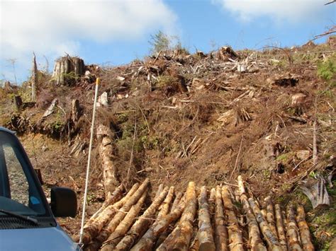 Forks Lumber Mill Tour - All You Need to Know BEFORE You Go