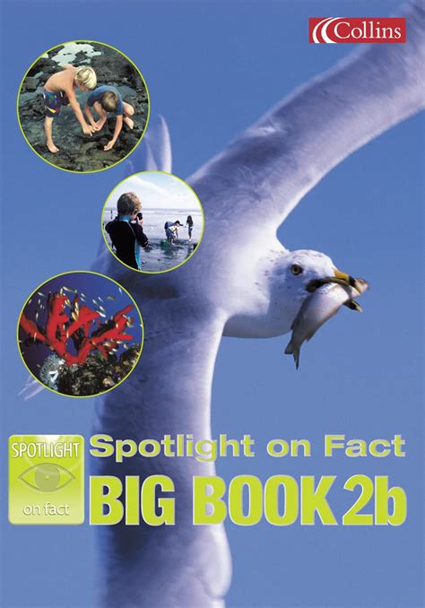 Spotlight on Fact – Year 2 Big Book B: Y2 (Spotlight on Fact S ...