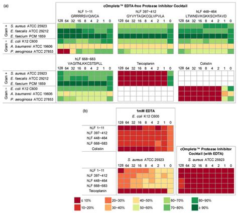 Testing Antimicrobial Properties of Human Lactoferrin-Derived Fragments