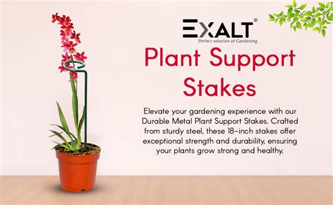 EXALT® 18 Inches Premium Plant Support Stakes, Sturdy Metal ...
