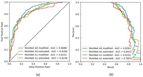 Transfer Learning Video Classification of Preserved, Mid-Range, and ...