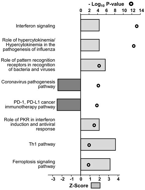 HLA-A, HSPA5, IGFBP5 and PSMA2 Are Restriction Factors for Zika Virus ...
