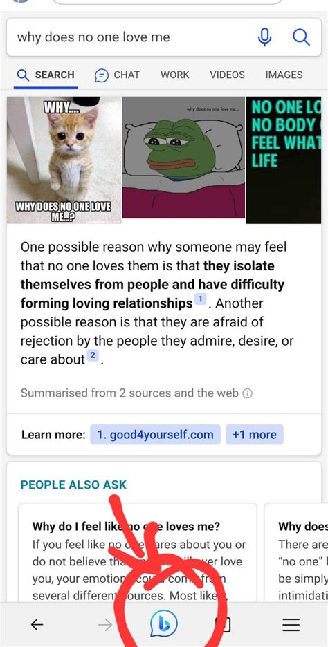 Chat with Bing Meme 的图像结果