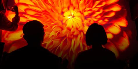 Ars Electronica Japan - Ars Electronica Futurelab 25 Years Anniversary