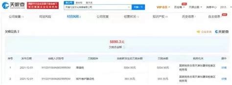 “国华人寿欠税”实为乌龙 税务局已证实不存在欠税情况__凤凰网