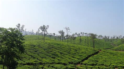 GAYATHRI HOME STAY (Valparai, Tamil Nadu) - Guesthouse Reviews & Photos ...