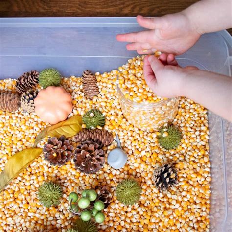 Fall Sensory Bin - Busy Toddler