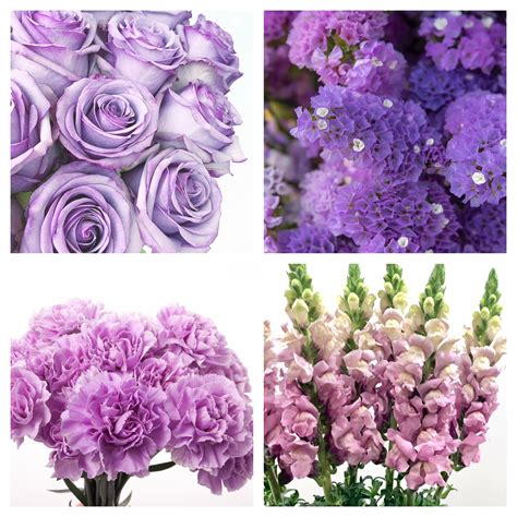 Beautiful Purple Flowers Names 97 Purple Flowers (with Photos & Names)
