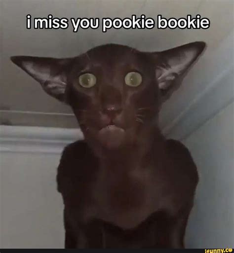 Pookie memes. Best Collection of funny Pookie pictures on iFunny