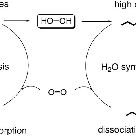 H2O2 Synthesis 的图像结果