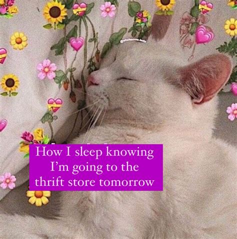 Alex Bailey | Slide three bottom left | Instagram