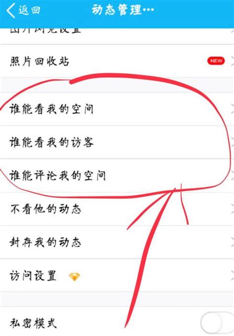 QQ空间宝软件截图预览_当易网