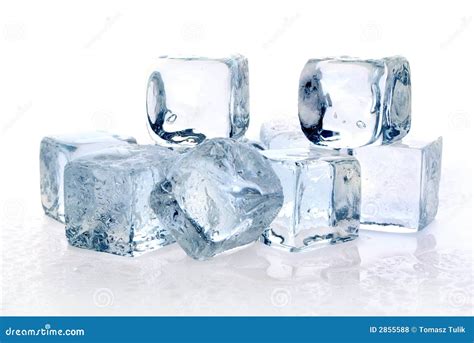 Melting ice cubes stock photo. Image of clear, refreshing - 2855588