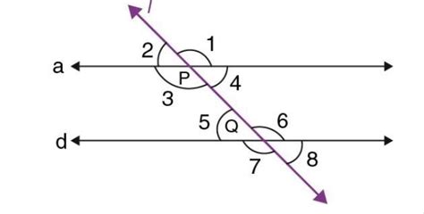 if a transversal intersects two parallel straight lines, then the ...