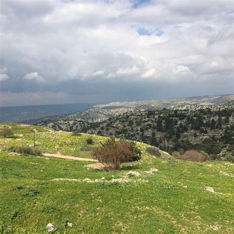 Umm Qais Tourism (2024): All You Need to Know Before You Go