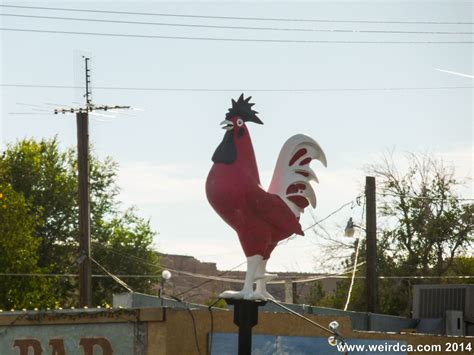 Overton Giant Red Rooster - Weird Nevada