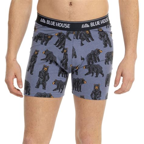 Little Blue House by Hatley Wild Bears Boxer Briefs - Save 50%