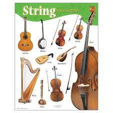 Image result for String Instruments Explained for Children