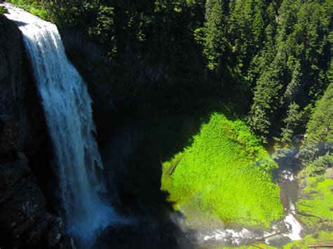 Salt Creek Forest Preserve at Rachel Fairweather blog