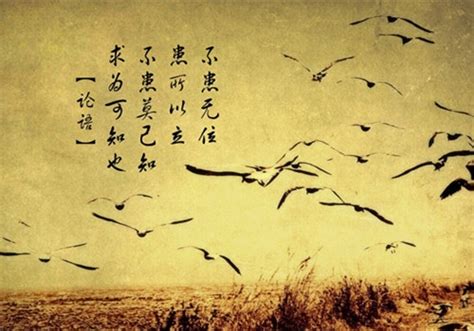 发现一个非常好康的台湾鸟仔鸟诗网站，跟大家分享。 - 厦门观鸟会