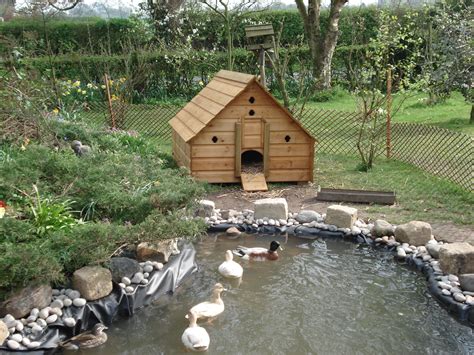 Duck house | Backyard ducks, Backyard farming, Duck house plans