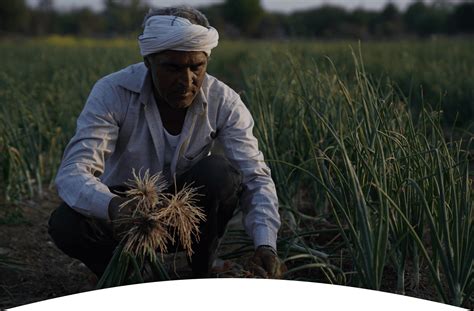 JR Farms | Fresh Organic Produce from Farm to Your Home