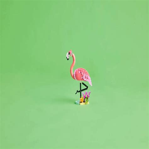 Lego 31170 Creator 3 In 1 Wild Animals: Pink Flamingo (288 Pieces ...