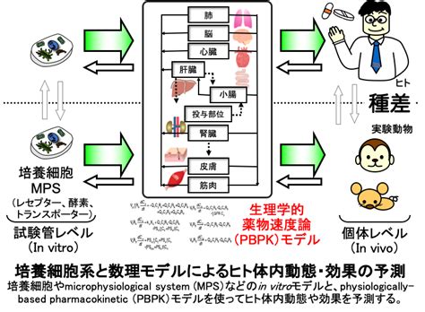 Image result for Prefect Python Code Flow