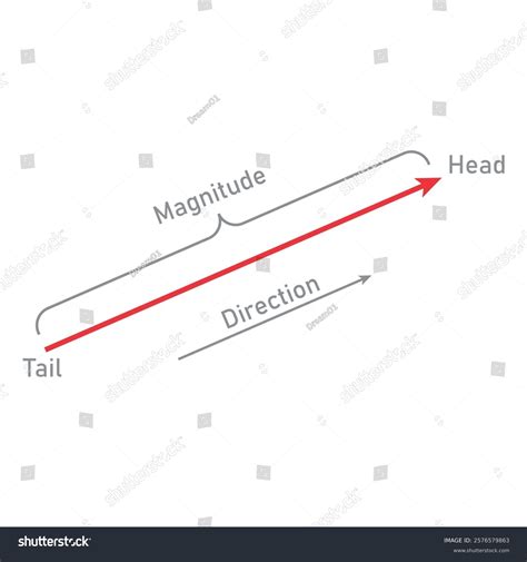 Magnitude Of A Vector Physics Vector Definition Physics Mathematics
