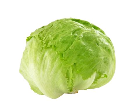 Iceberg Lettuce – OrgFarm