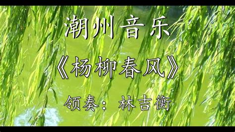 Teochew Music 潮州弦诗乐《杨柳春风》重三六调、领奏：林吉衡 - YouTube