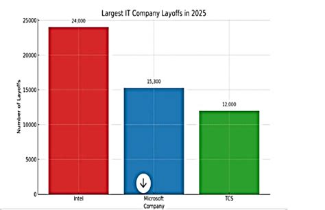 Layoffs 2025: TCS Vs Microsoft Vs Intel Vs Amazon; Who Is Making The ...