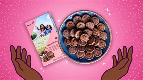 New Girl Scout Exploremores Cookie: Everything We Know About the Ice ...