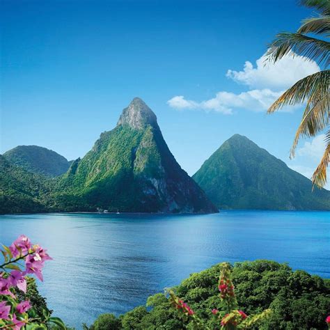 SHORE EXCURSIONS ST. LUCIA (2026) All You Need to Know BEFORE You Go ...