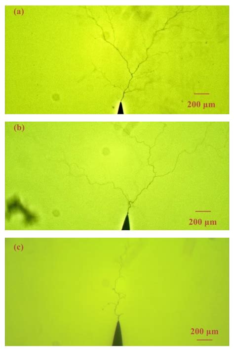Effect of Air Gap on Electrical Tree in Epoxy Resin Under High ...