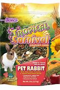 Image result for Pet Rabbit Care