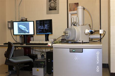 Schematic form of SEM. | Download Scientific Diagram