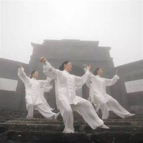 专访｜太极拳申遗成功，专家：健身功能将引起全世界重视_运动家_澎湃新闻-The Paper