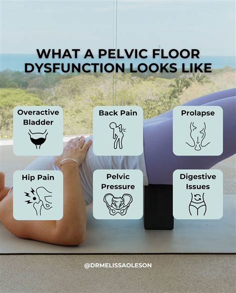 Pelvic Floor Dysfunction Symptoms | Pelvic Floor Health | Pelvic floor ...