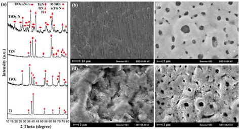 Corrosion and Wear Behavior of TiO2/TiN Duplex Coatings on Titanium by ...