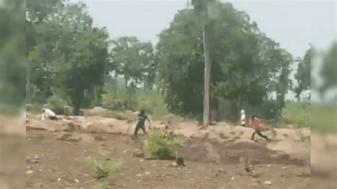 Khandwa News: अतिक्रमण रोकने पहुंचे थे वन विभाग के कर्मी, तभी पत्थरों ...