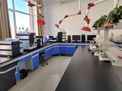 实验室 的图像结果