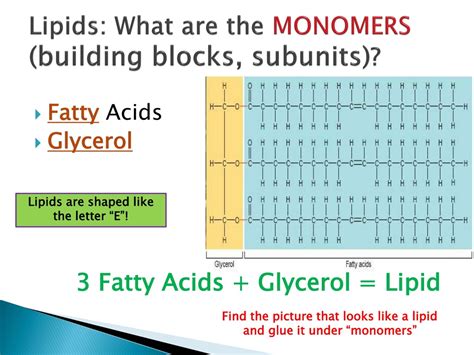 PPT - Exploring Organic Chemistry: Carbohydrates & Lipids PowerPoint Presentation - ID:8924560