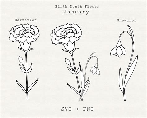Carnation Flower SVG Snowdrop Flower SVG January Birth Month - Etsy Israel