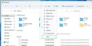 Image result for How to Show File Extensions in Windows 11