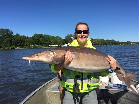 SUNY ESF Expert to Highlight Turnaround of Onondaga Lake's Fish ...