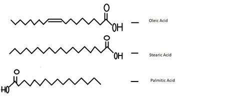 structure of oleic acid (C 17 H 33 COOH), stearic acid (C 17 H 35 COOH ...